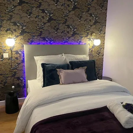 Newly Renovated Aparment - - Pets Welcome Appartamento Carcassonne