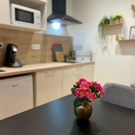 Newly Renovated Aparment - - Pets Welcome *