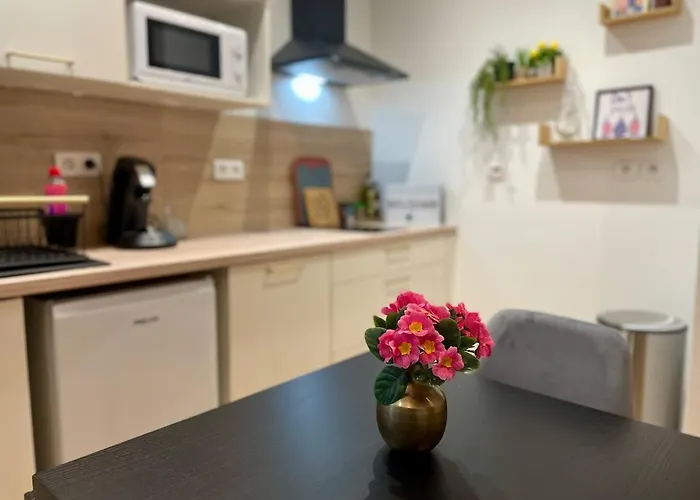 Newly Renovated Aparment - - Pets Welcome * Καρκασόν