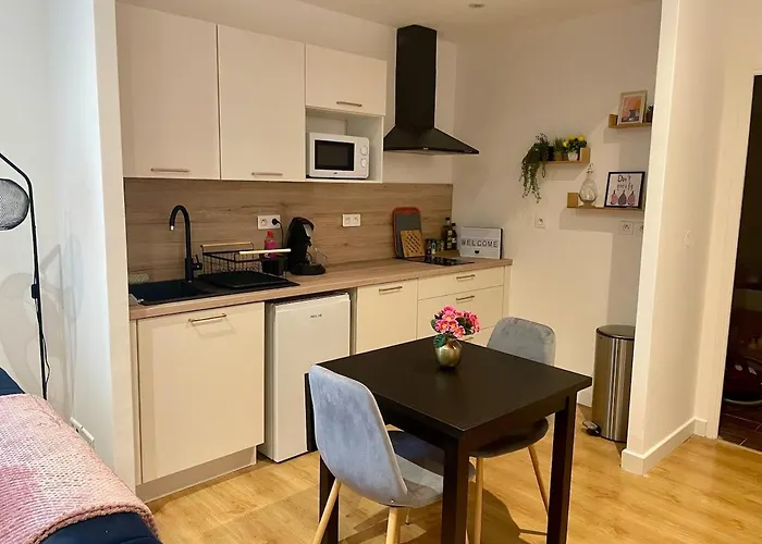 Διαμέρισμα Newly Renovated Aparment - - Pets Welcome Καρκασόν